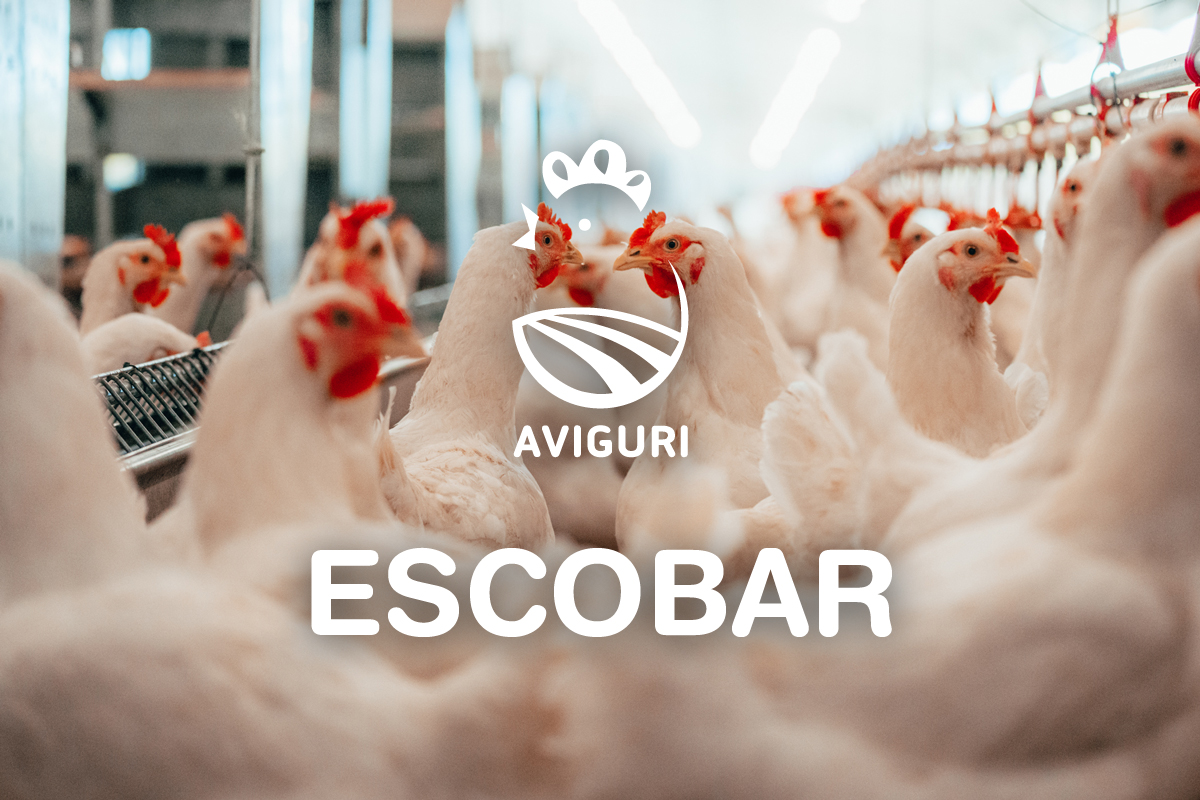 Sucursal Aviguri Escobar